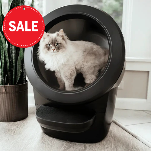 PurrEase™ Automatic Litter House